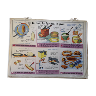 Rossignol educational poster