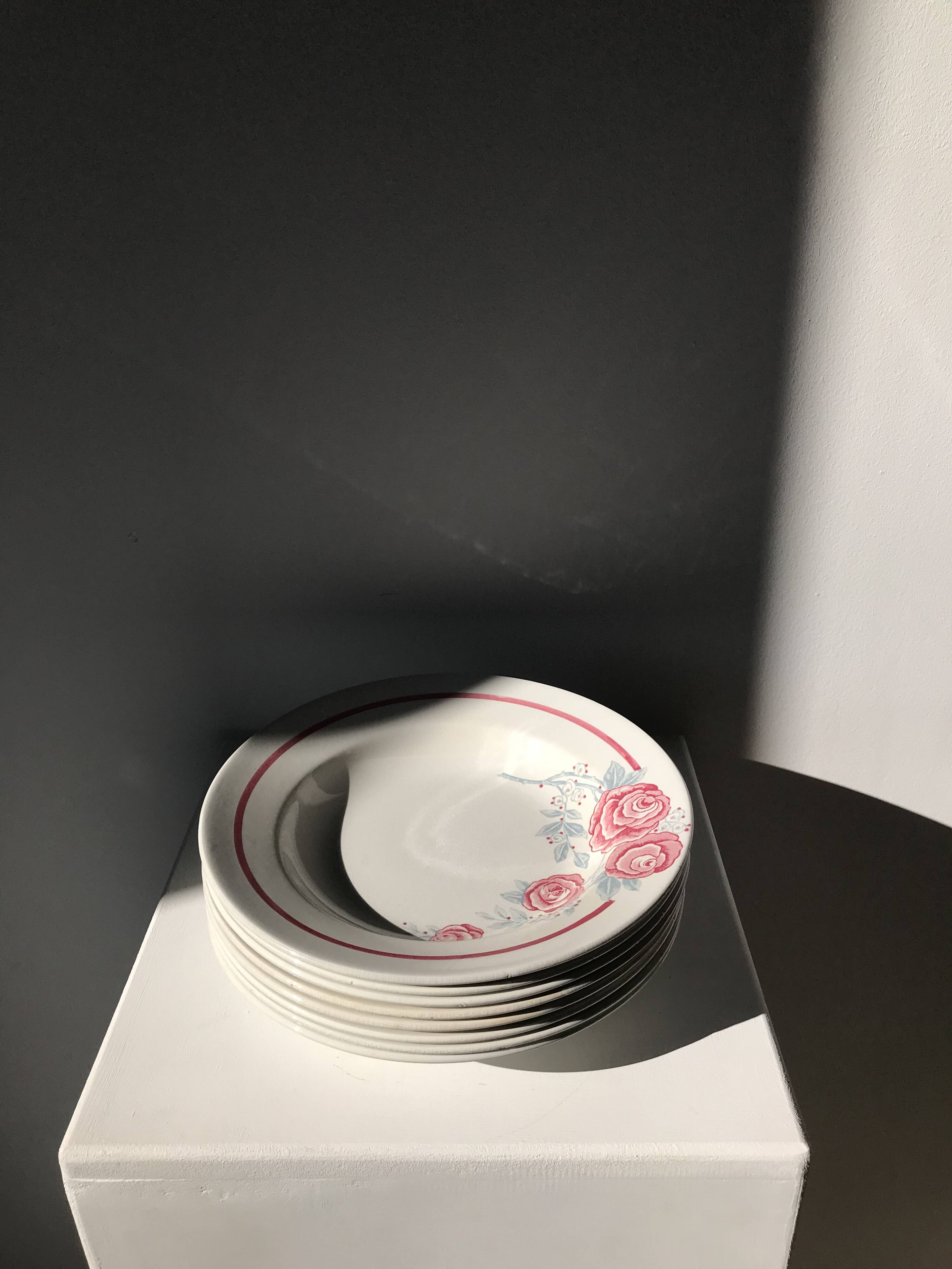 8 vintage Avranches earthenware plates decorated with roses