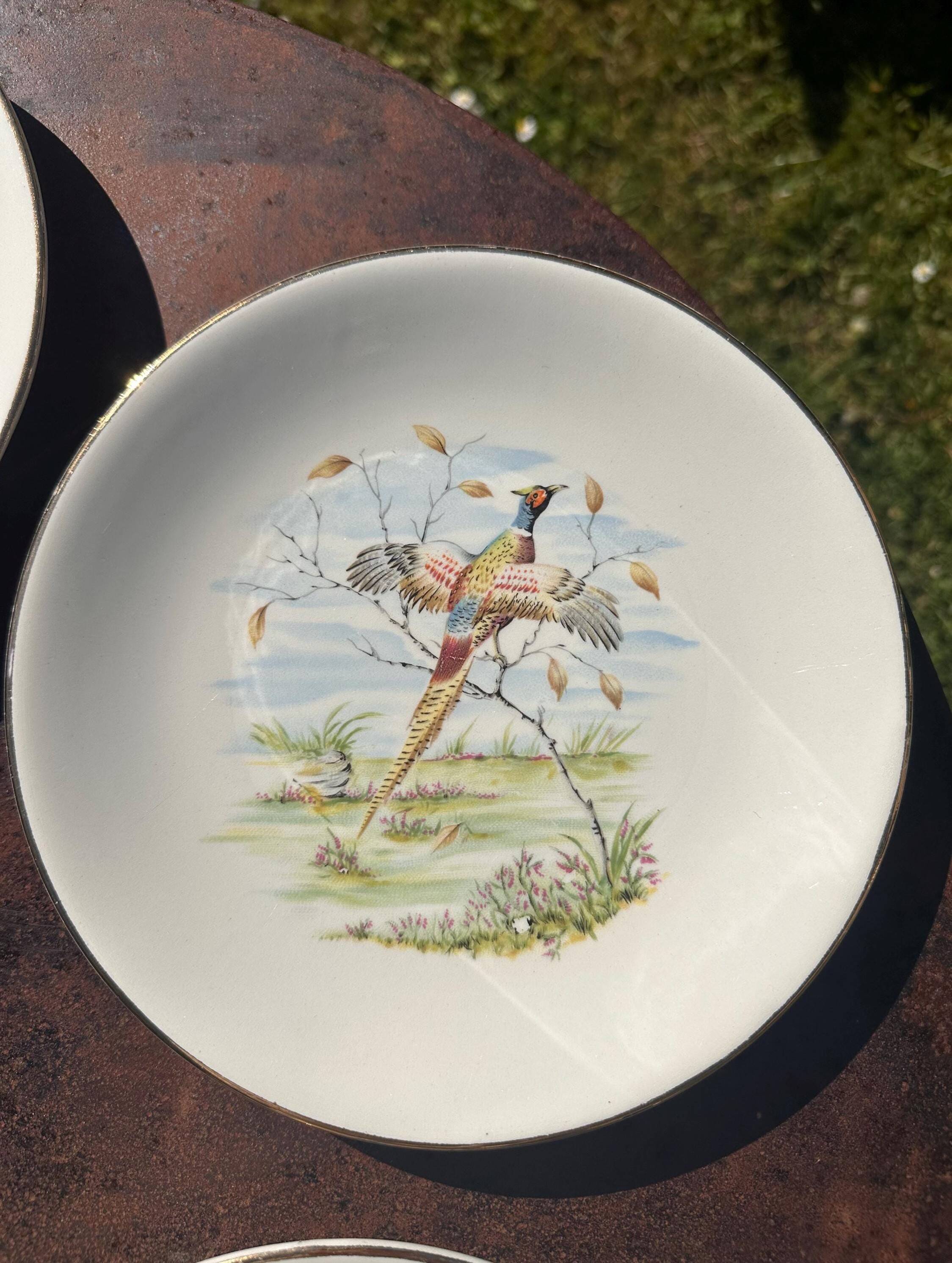 Set of 5 flat plates in Gien earthenware, Primefleur collection.