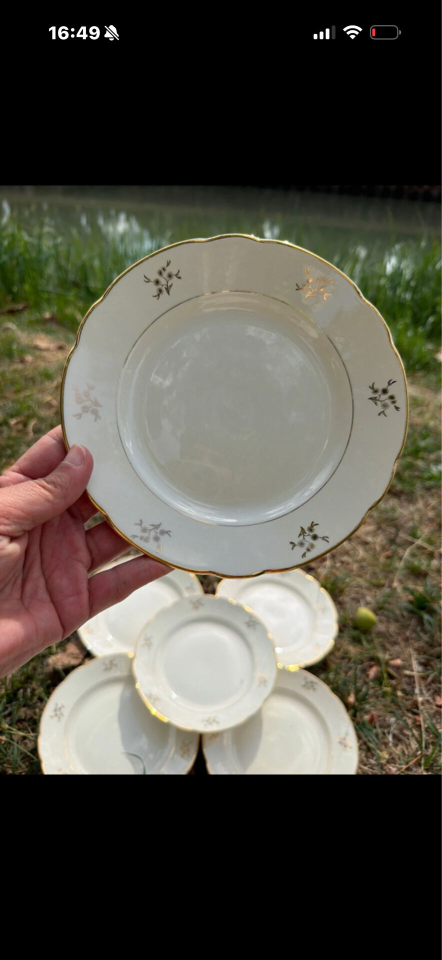 12 assiettes à dessert