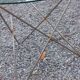 Florent Lasbleiz vintage coffee table in glass and metal