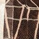 apis marocain moderne, tapis berbère Mrirt 150/250cm
