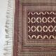 Red oriental rug