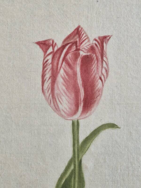 La Roche Laffitte (Born in 1943) - Watercolour drawing on silk - Tulip