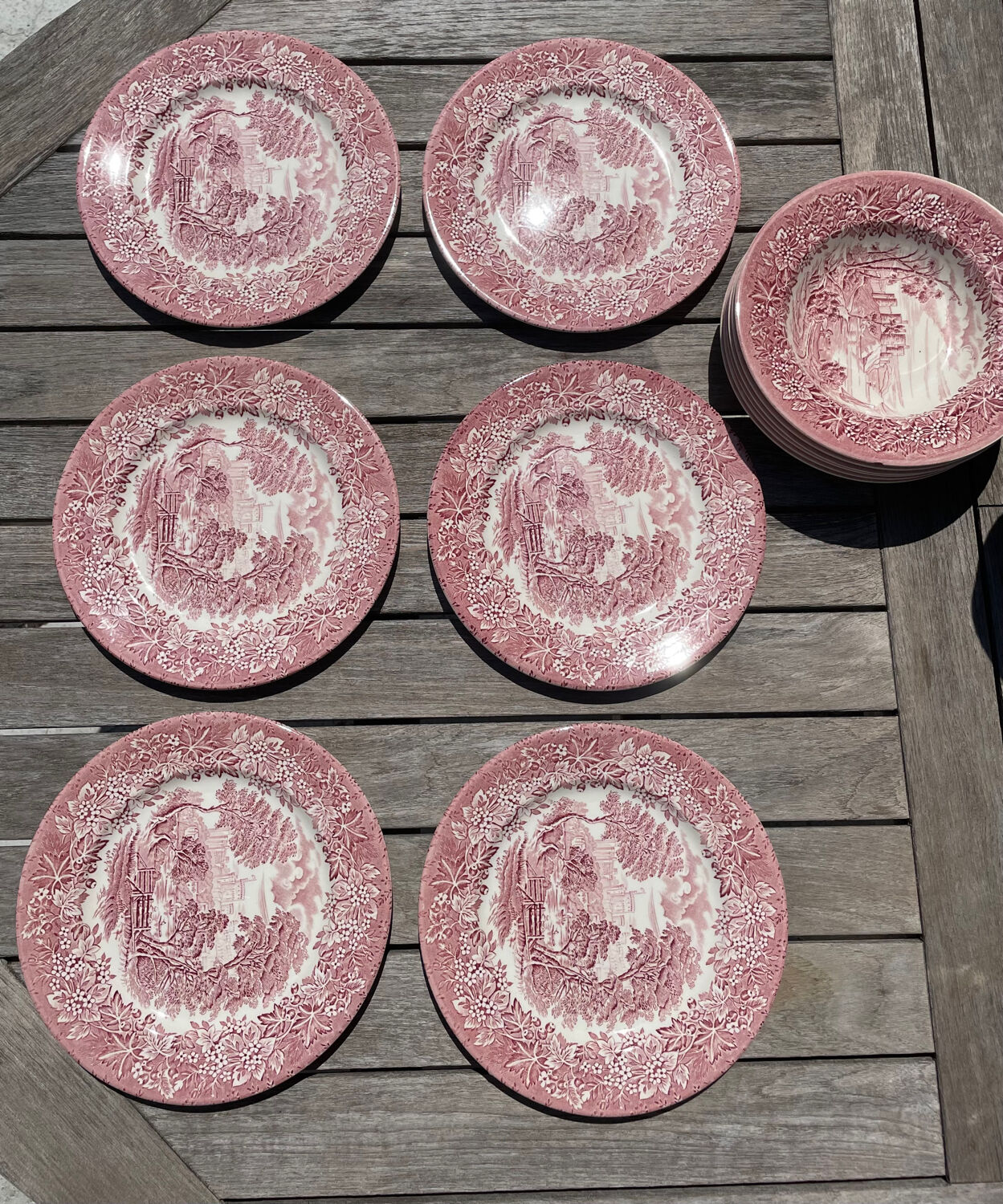 Lot 6 flat plates and 6 hollow English Iron Earth English Ironstone