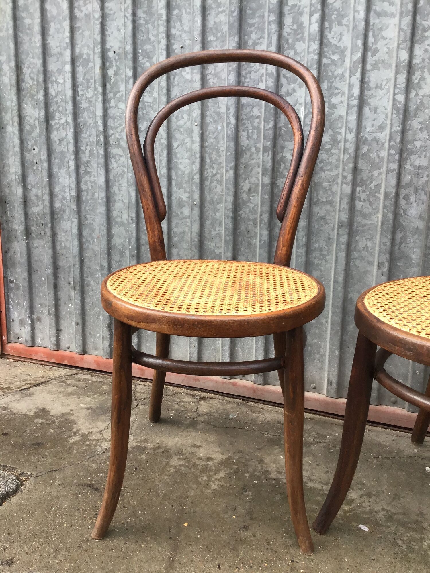 Pair of chairs curved wood tuna and Nr 14