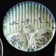 6 French Antique Asparagus Plates in Majolica