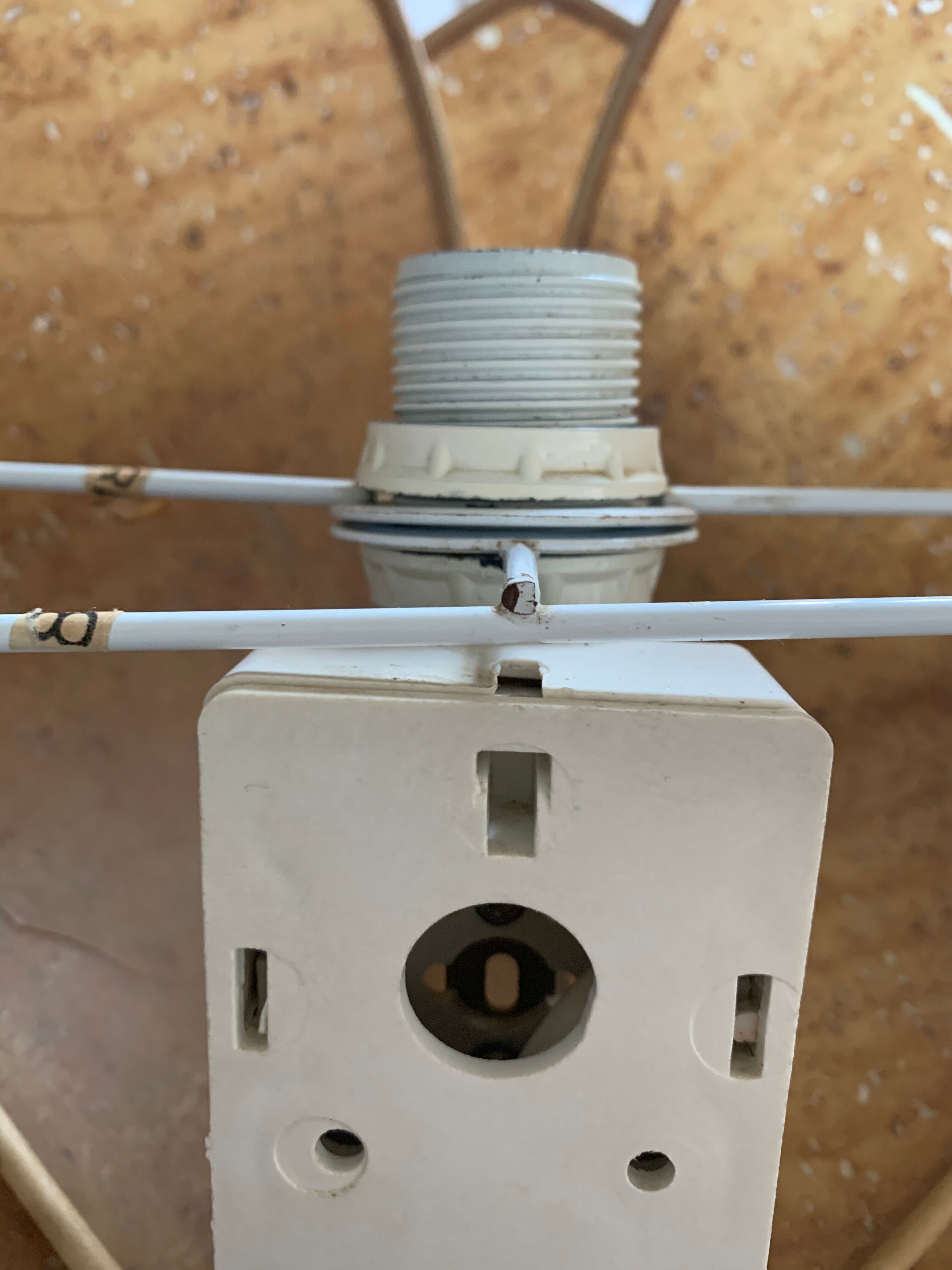 Vintage lotus sconce