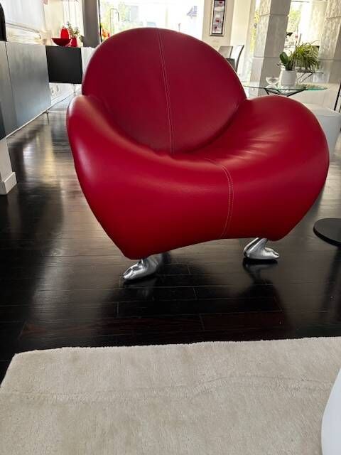 Leolux Papageno armchair