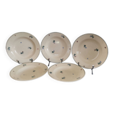 5 assiettes creuses anciennes Amandinoise St Amand