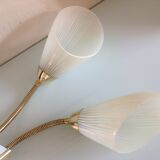 Double fire wall lamp in brass and glass cornet years 50/60