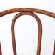 Antique Bentwood Chair in the Style of Thonet No. 56 | Austrian Rattan 1930