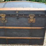 Old curved trunk