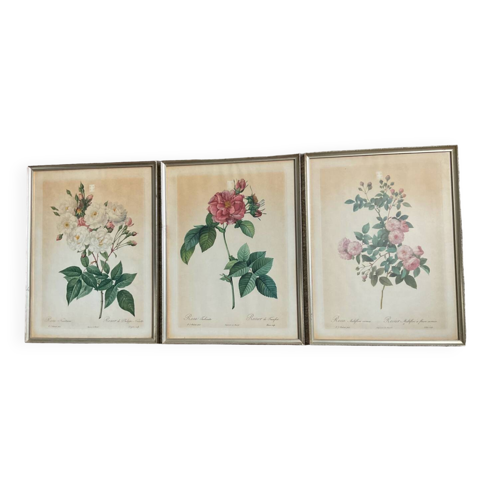 Series of 3 botanical frames from the 70s