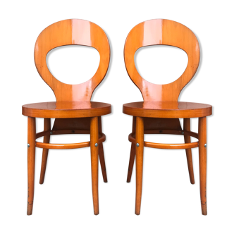 Baumann chairs " Seagull "