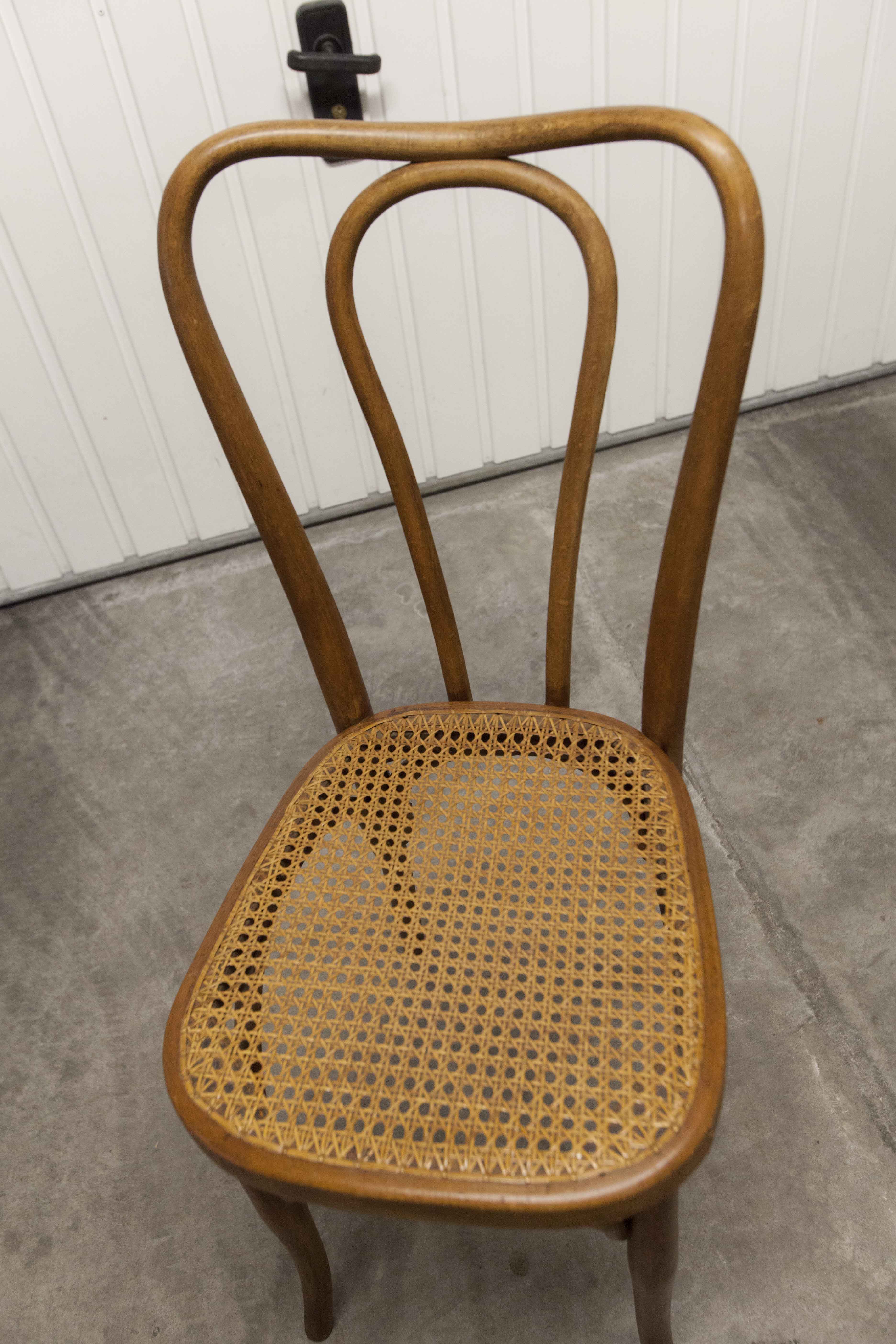 Set of 6 chairs bistro j&j kohn 1900 seat cannage