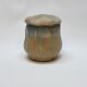 Gilbert Metenier Covered pot in beige and blue art nouveau flamed stoneware