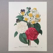 Impression vintage Fleur Bouquet de Camélias