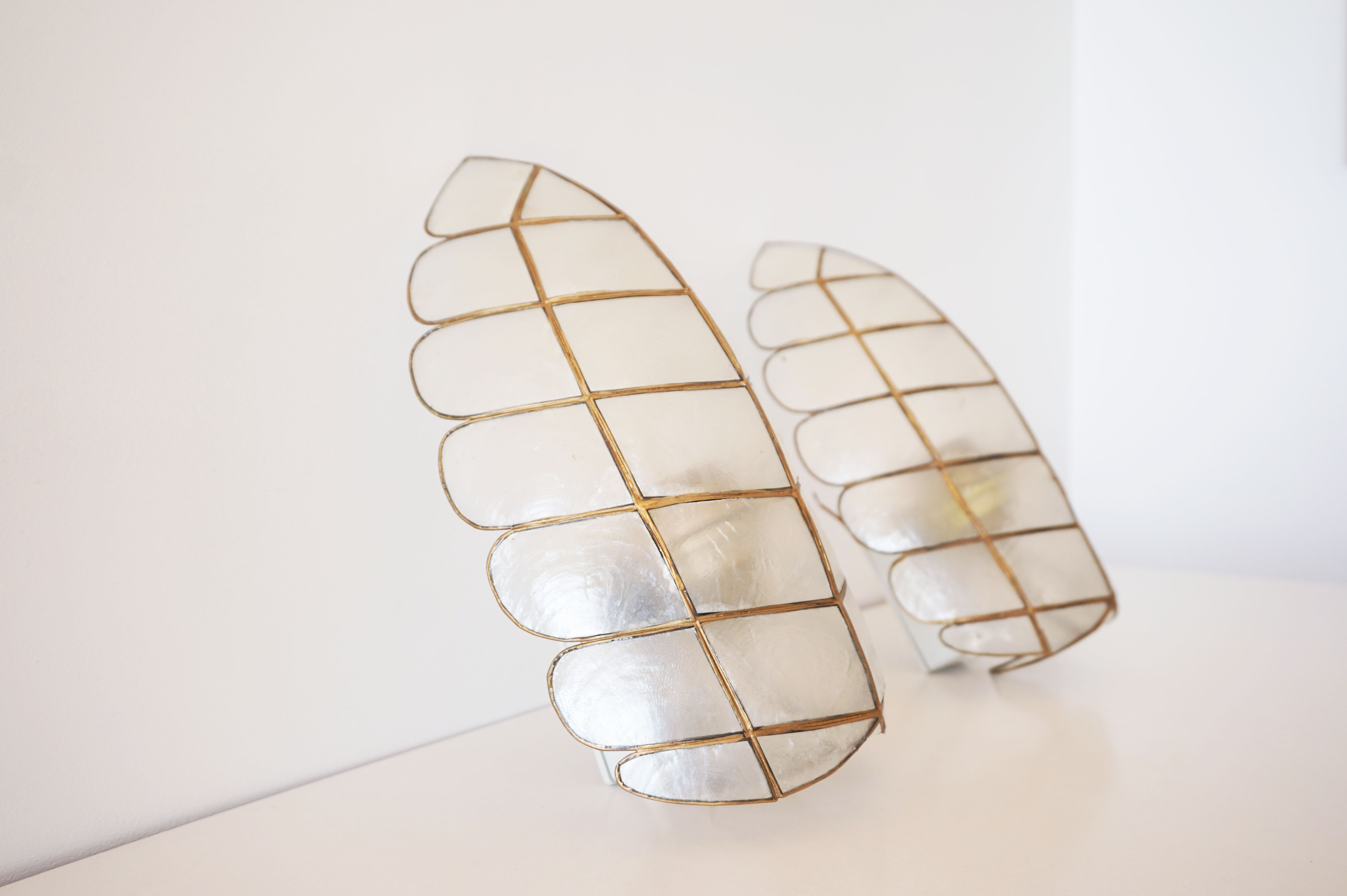Pair of mother-of-pearl sconces