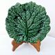 Malicorne Cabbage Barbotine Ceramic Dish Plate Signed Jules Moreau