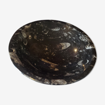 Fossilized marble cup