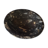 Coupe en marbre fossilisé