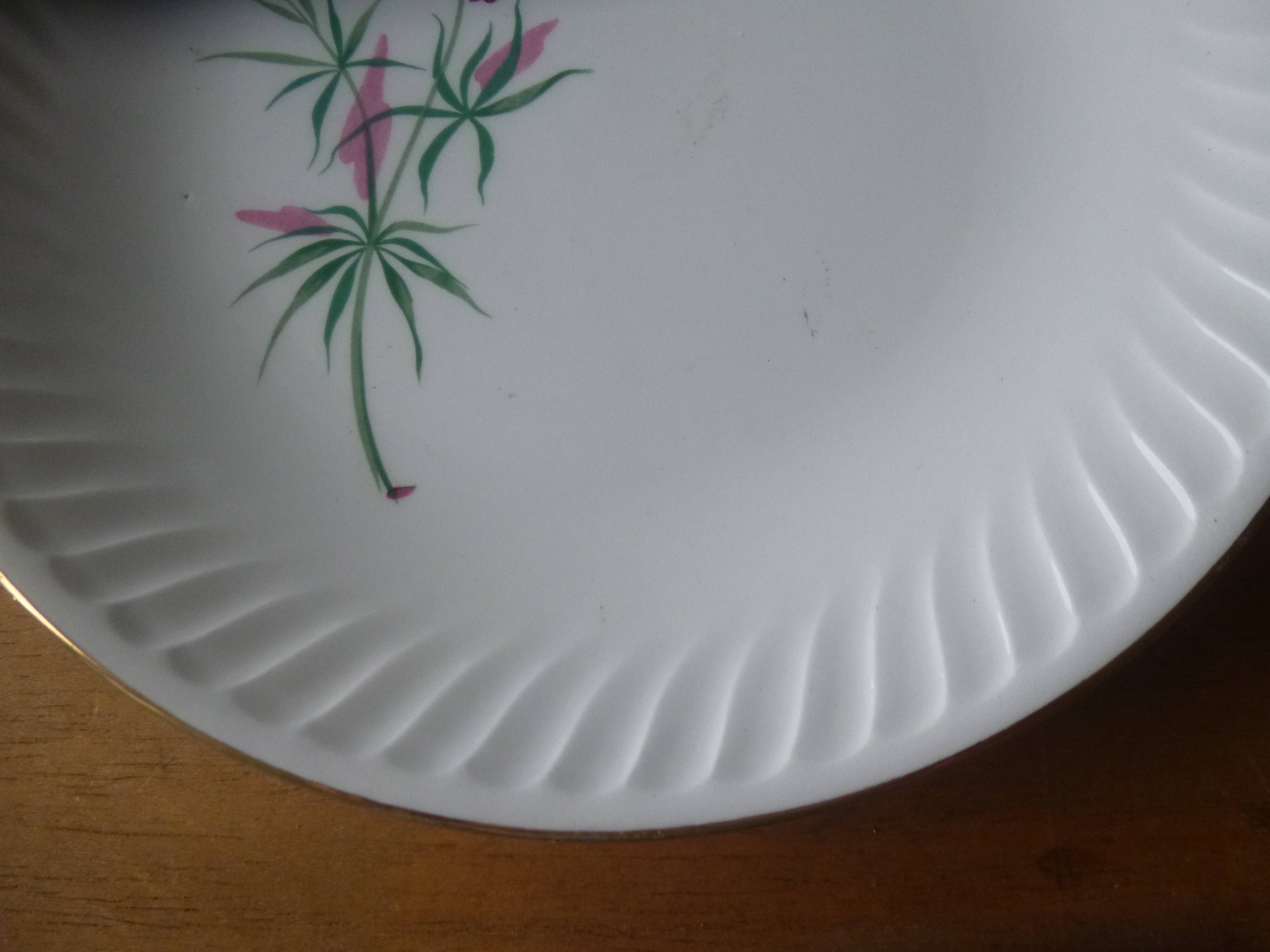 Flat plate gien model Malmaison