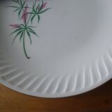 Flat plate gien model Malmaison