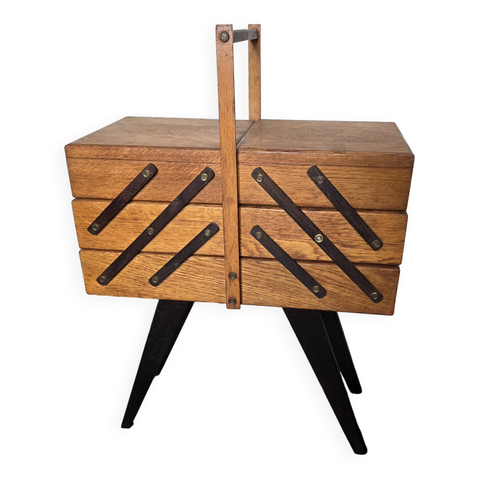 Oak worker with compass feet