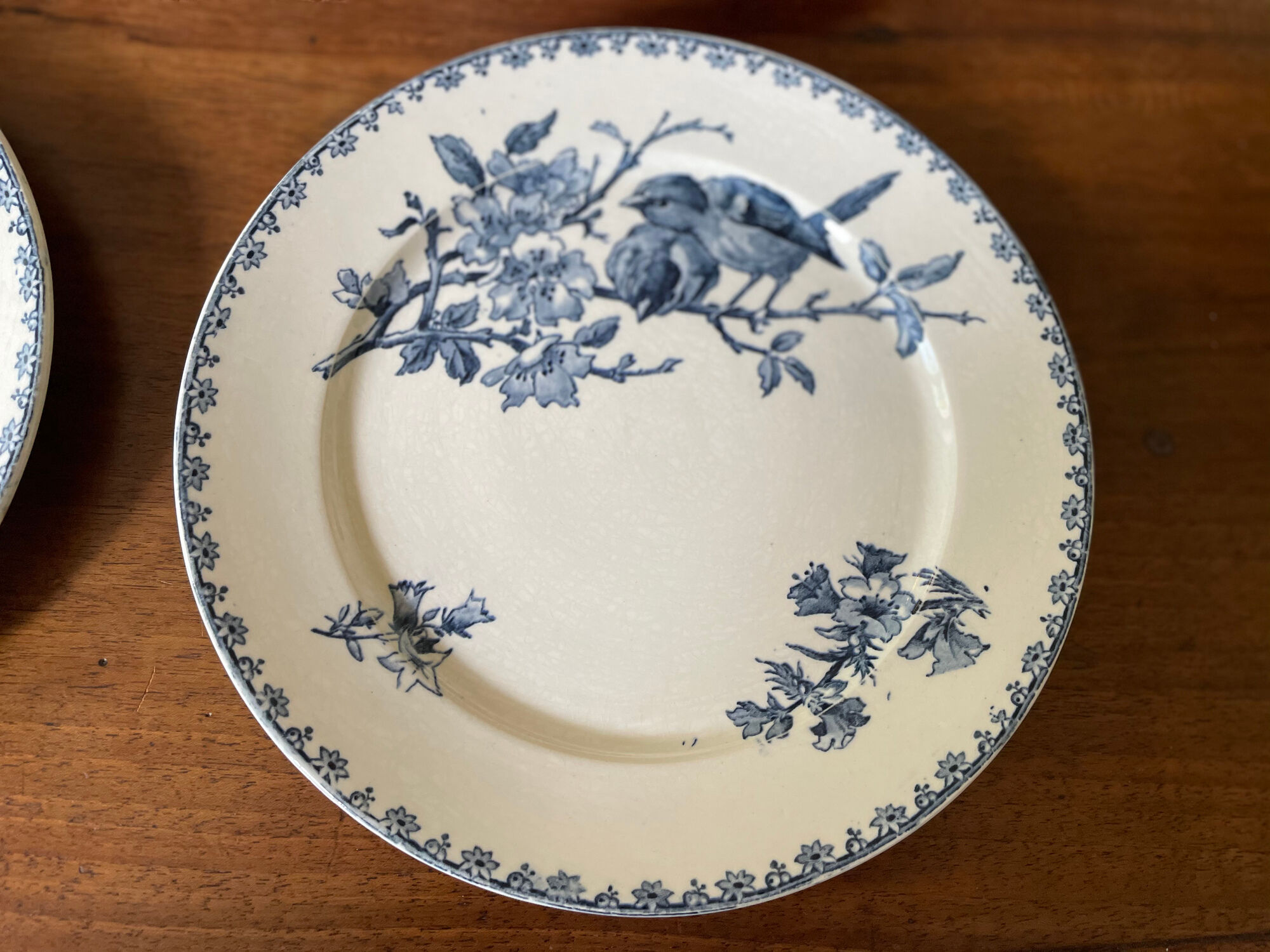 Flat plates Sarreguemines Terre de Fer model Blue Favorite