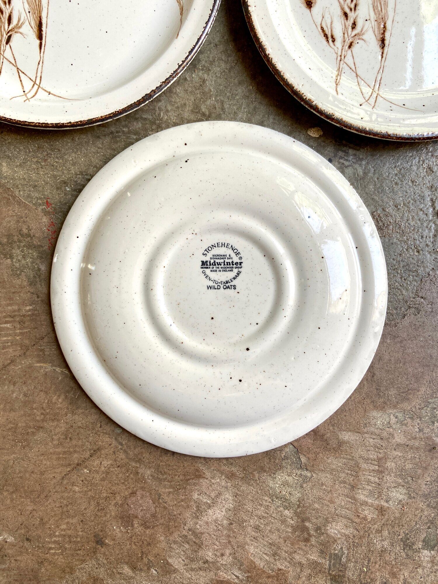 4 flat plates Midwinter in glazed stoneware, service "Wild oats"