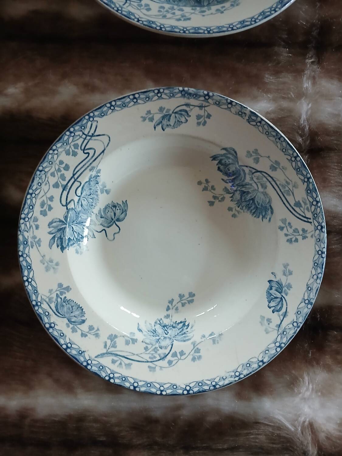 10 antique deep plates in ironstone