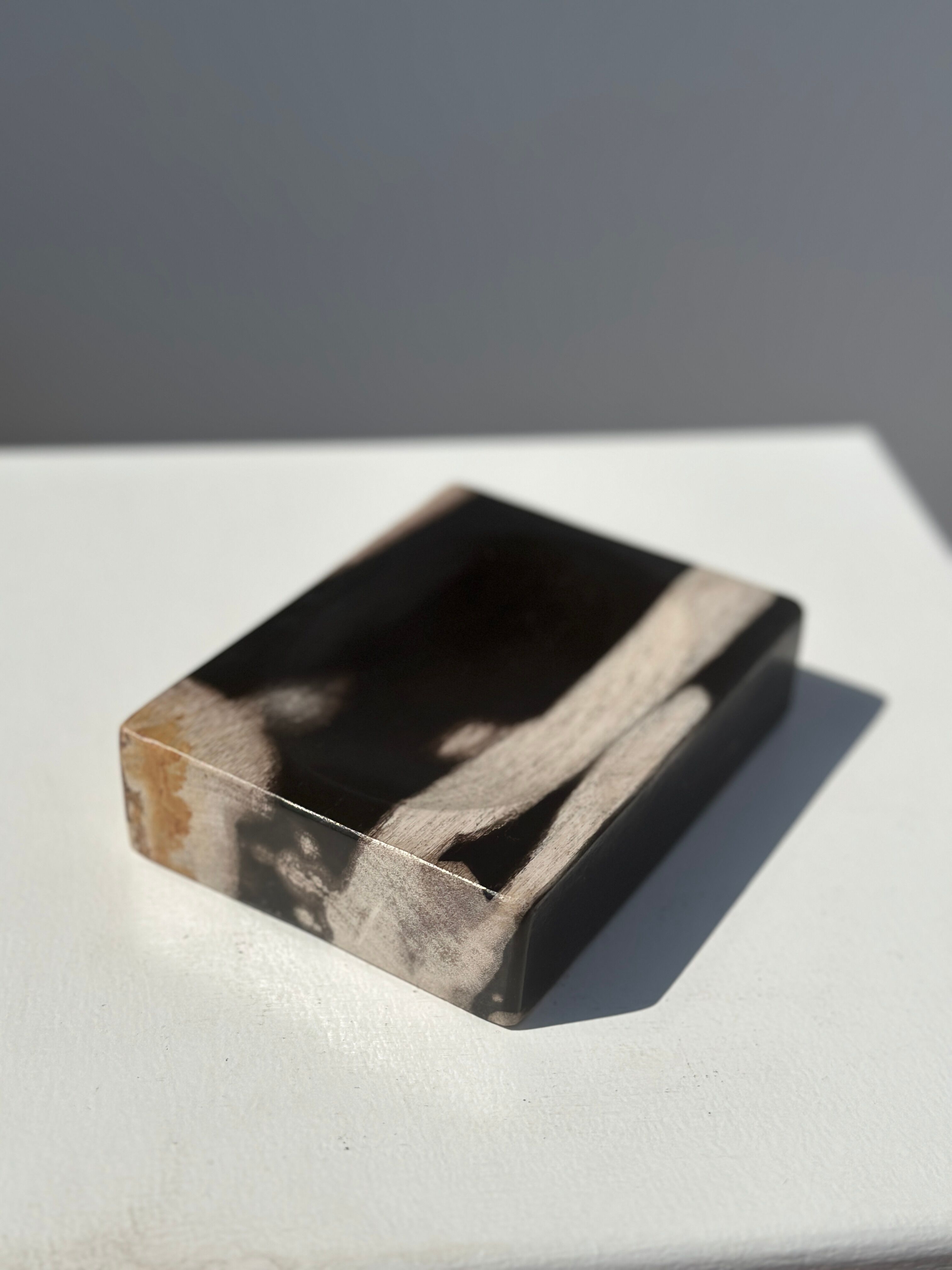 Symmetrical multicolored petrified wood soap dish
