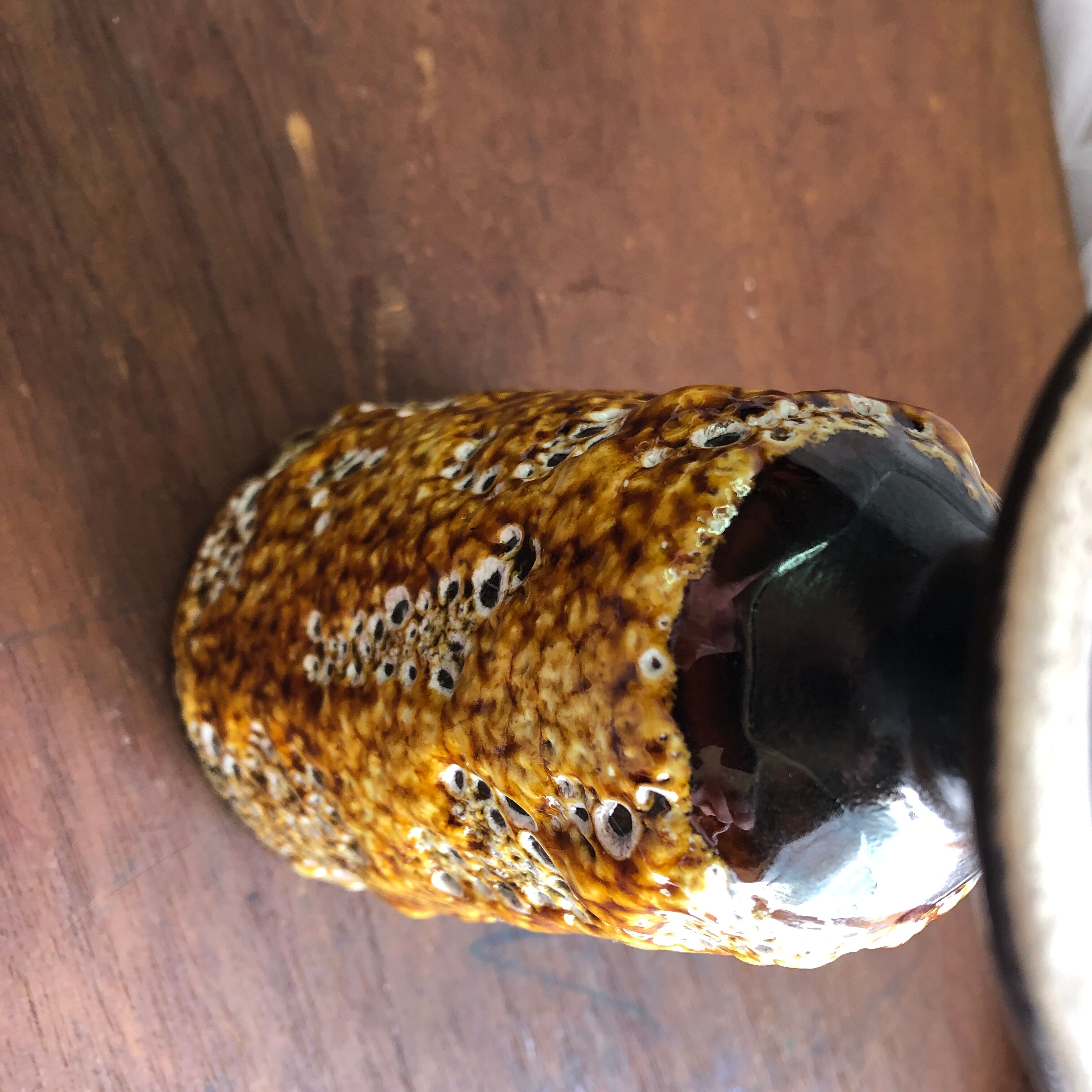 Mazagran fat lava vintage 60s