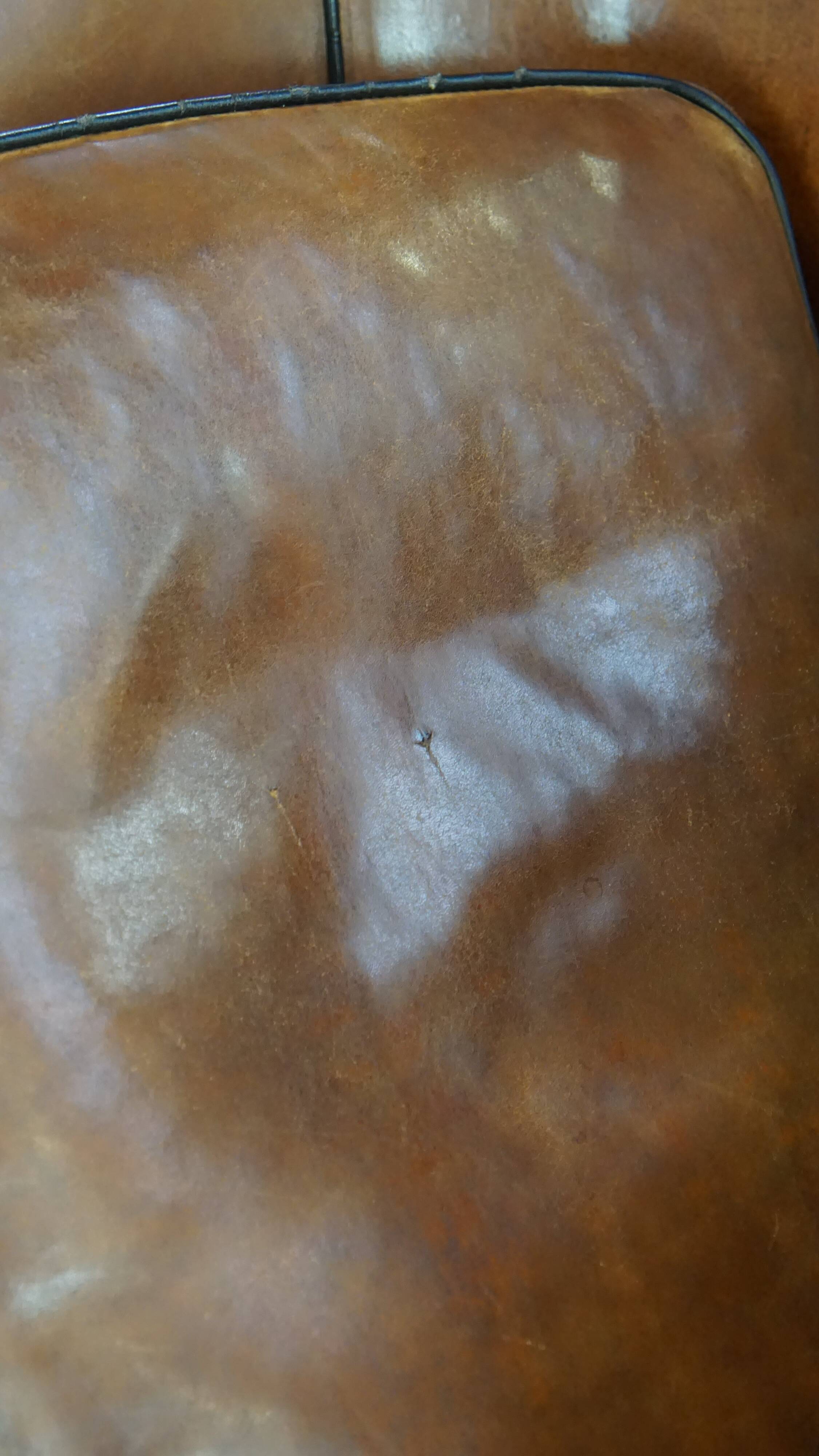 Sheep leather club armchair