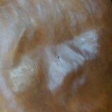 Sheep leather club armchair