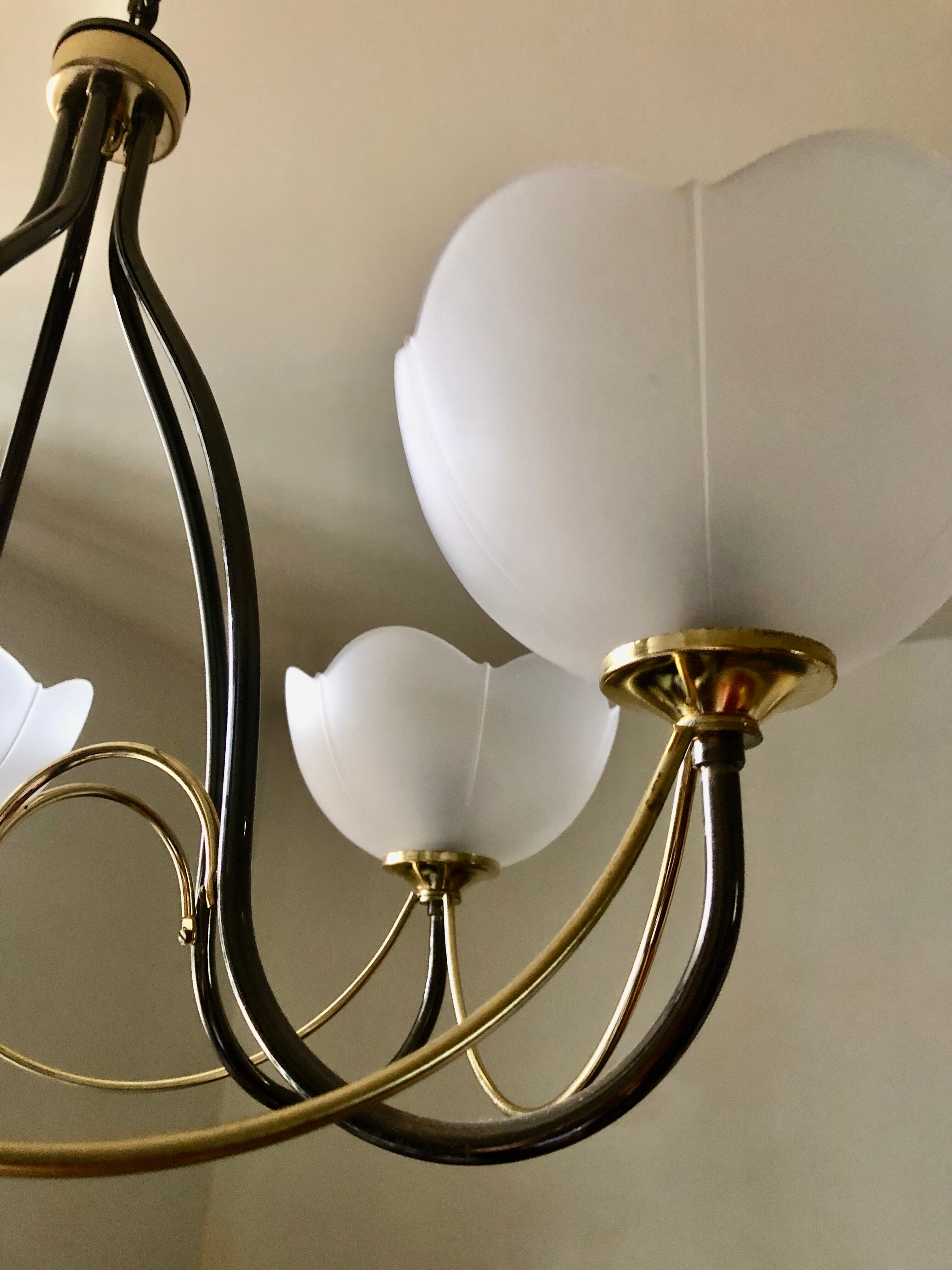 Italian chandelier gray and gold frosted glass flower