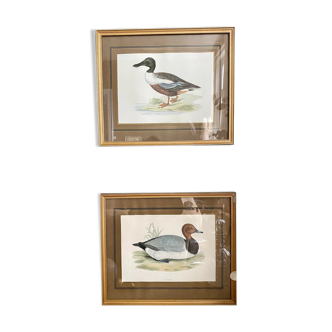 Set of two english engravings
