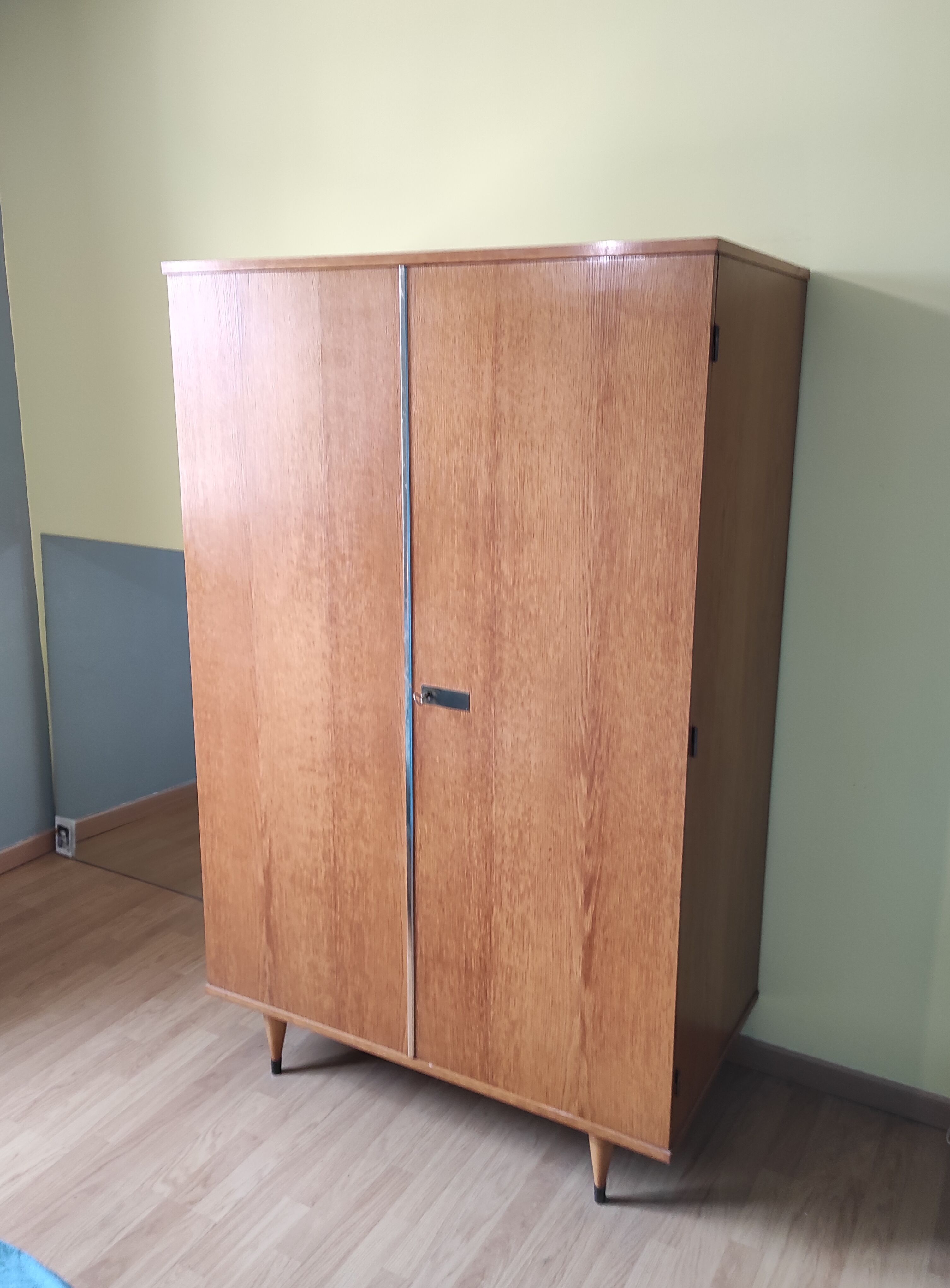 Scandinavian two-door wardrobe
