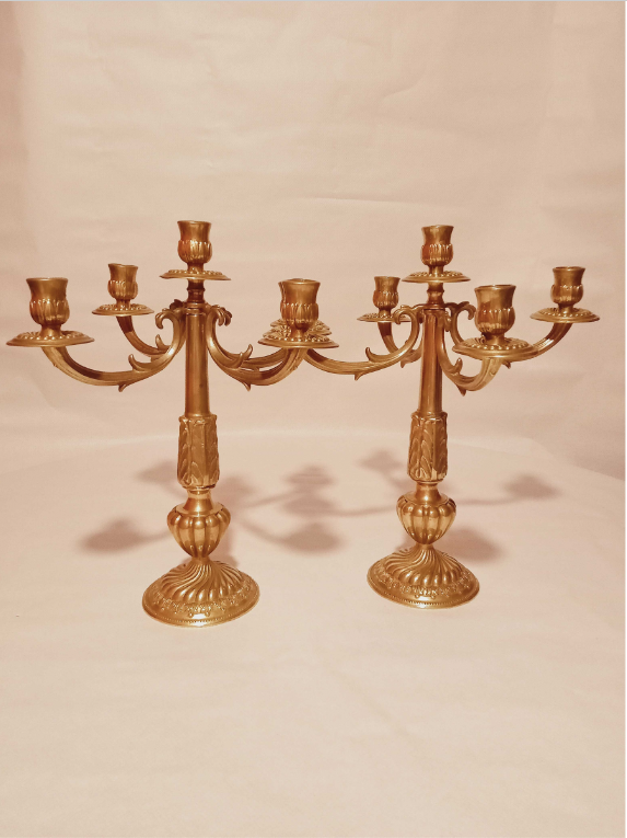 Pair of chandeliers with 5 bronze fires