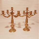 Pair of chandeliers with 5 bronze fires