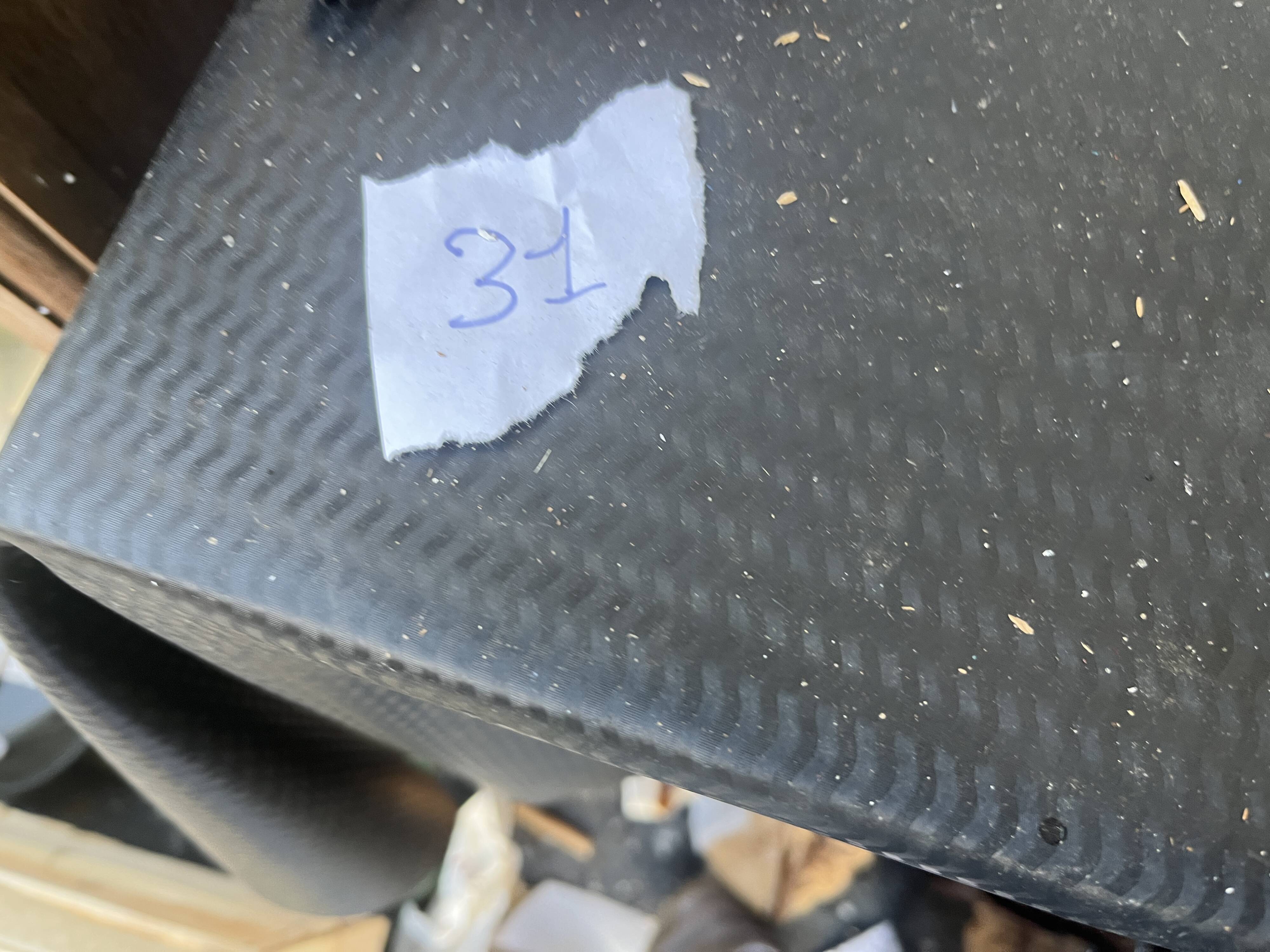 Antique tableau from the 19th century – Genre scene with the lady and the bird.