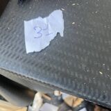 Antique tableau from the 19th century – Genre scene with the lady and the bird.