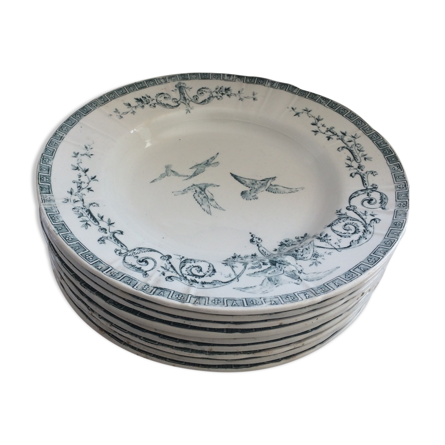 9 plates white background, light green pattern, 1930s Iron Earth