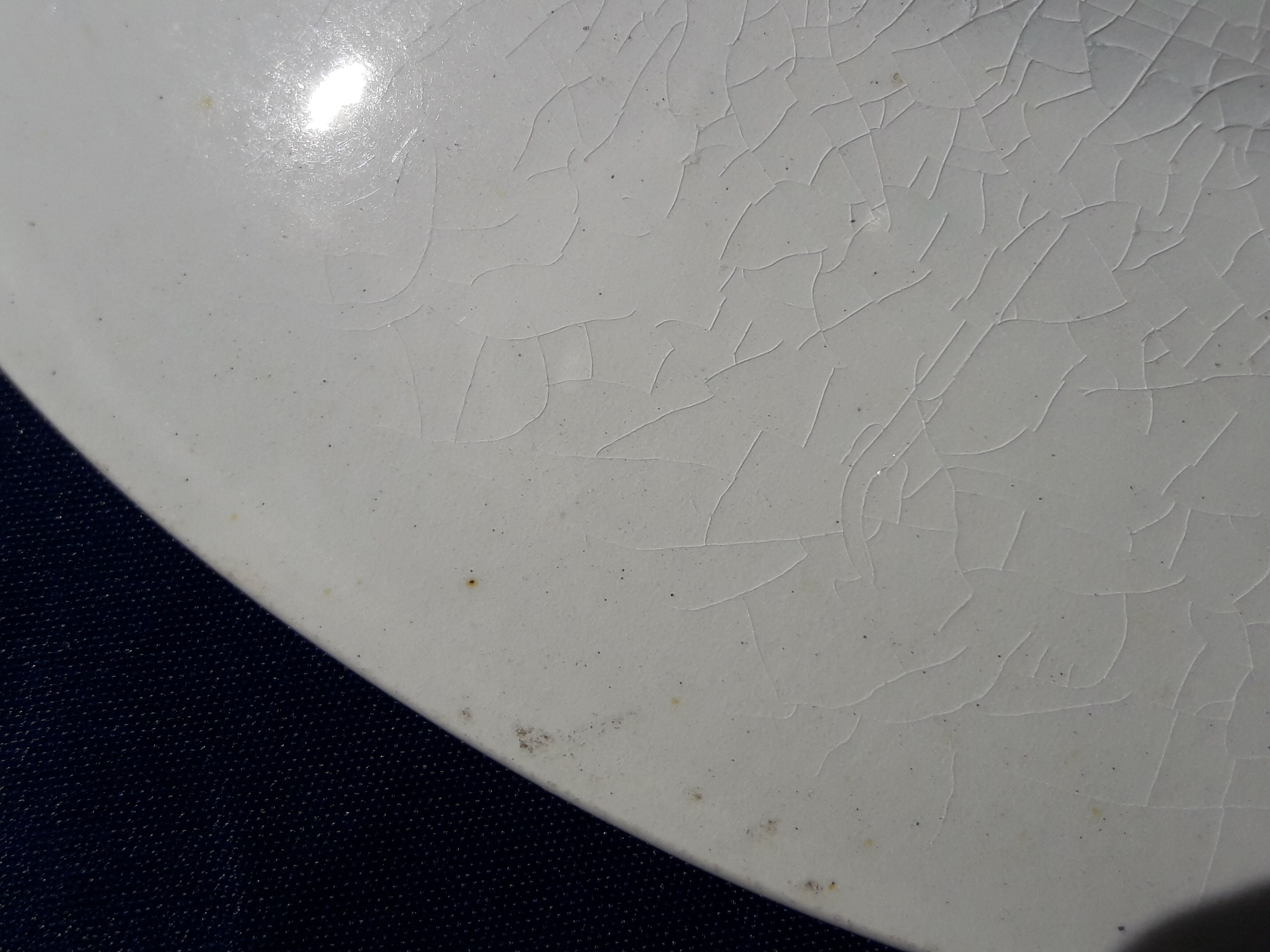 2 hollow plates in Pexonne earthenware 53 blue flower pattern diam 22.5 cm