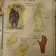 Affiche d'école 1950 le chat le singe