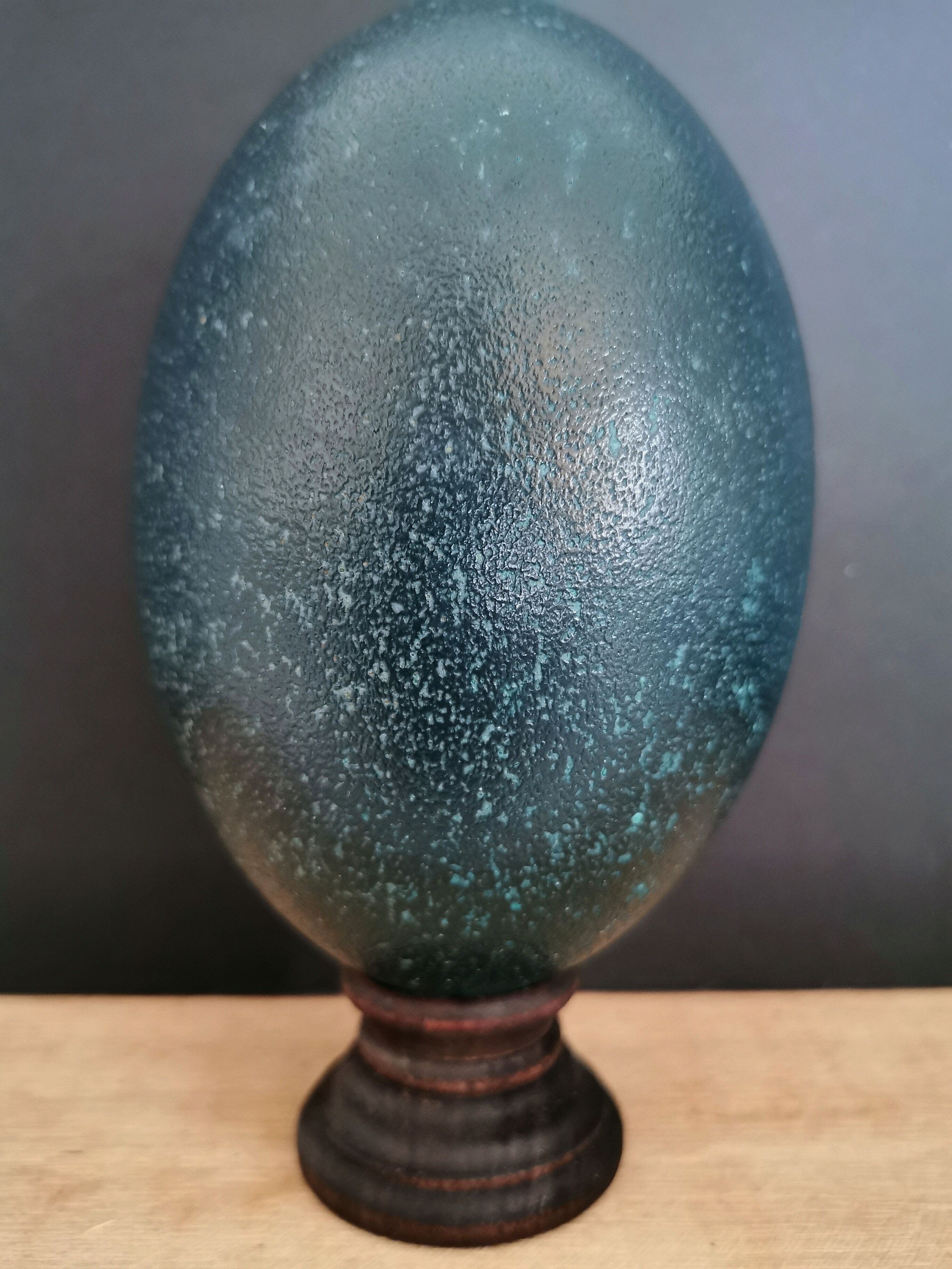 Emu egg naturally green / blue on dark wood bases