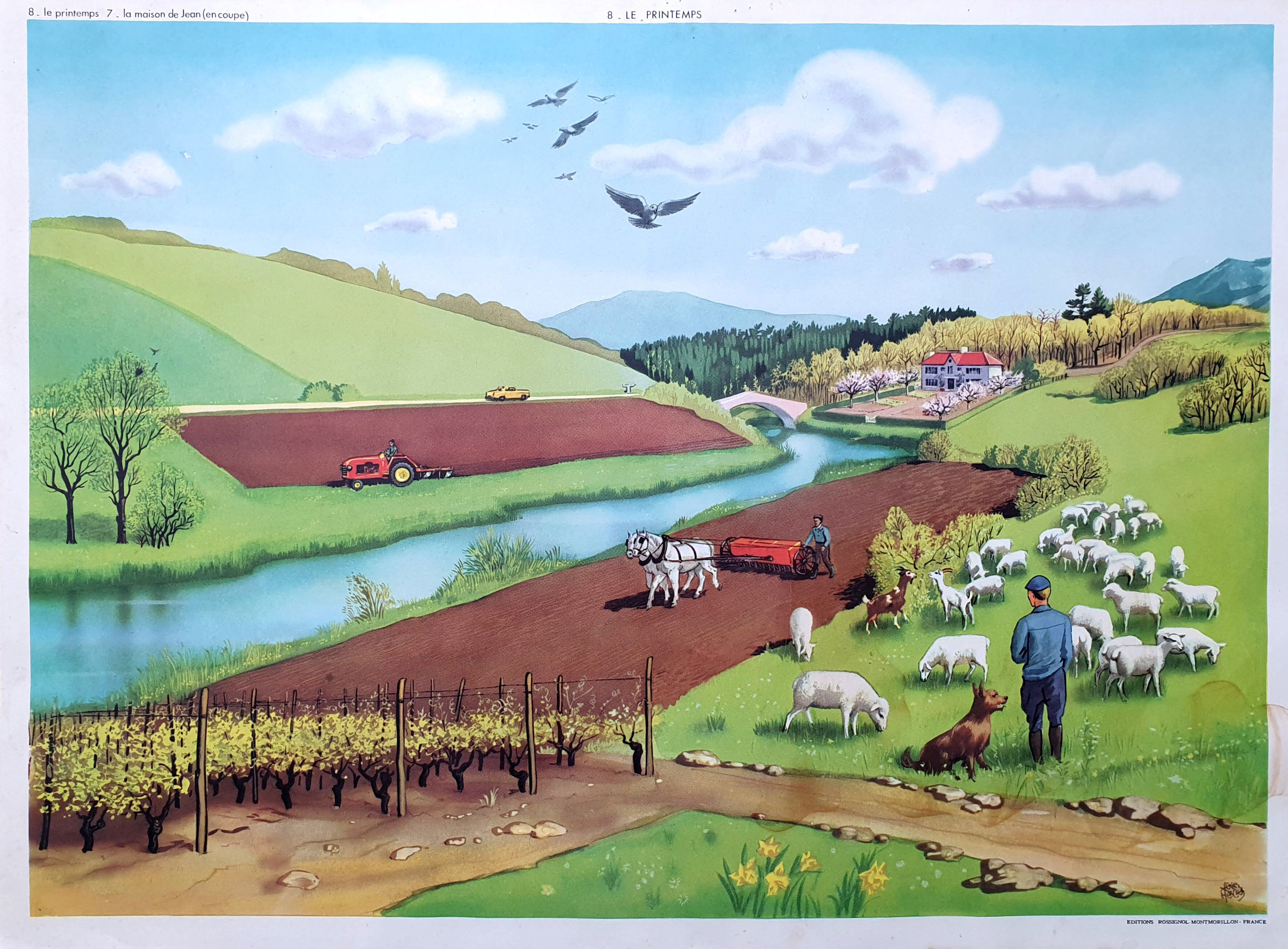 Rossignol educational poster - La Maison de Jean / Le Printemps