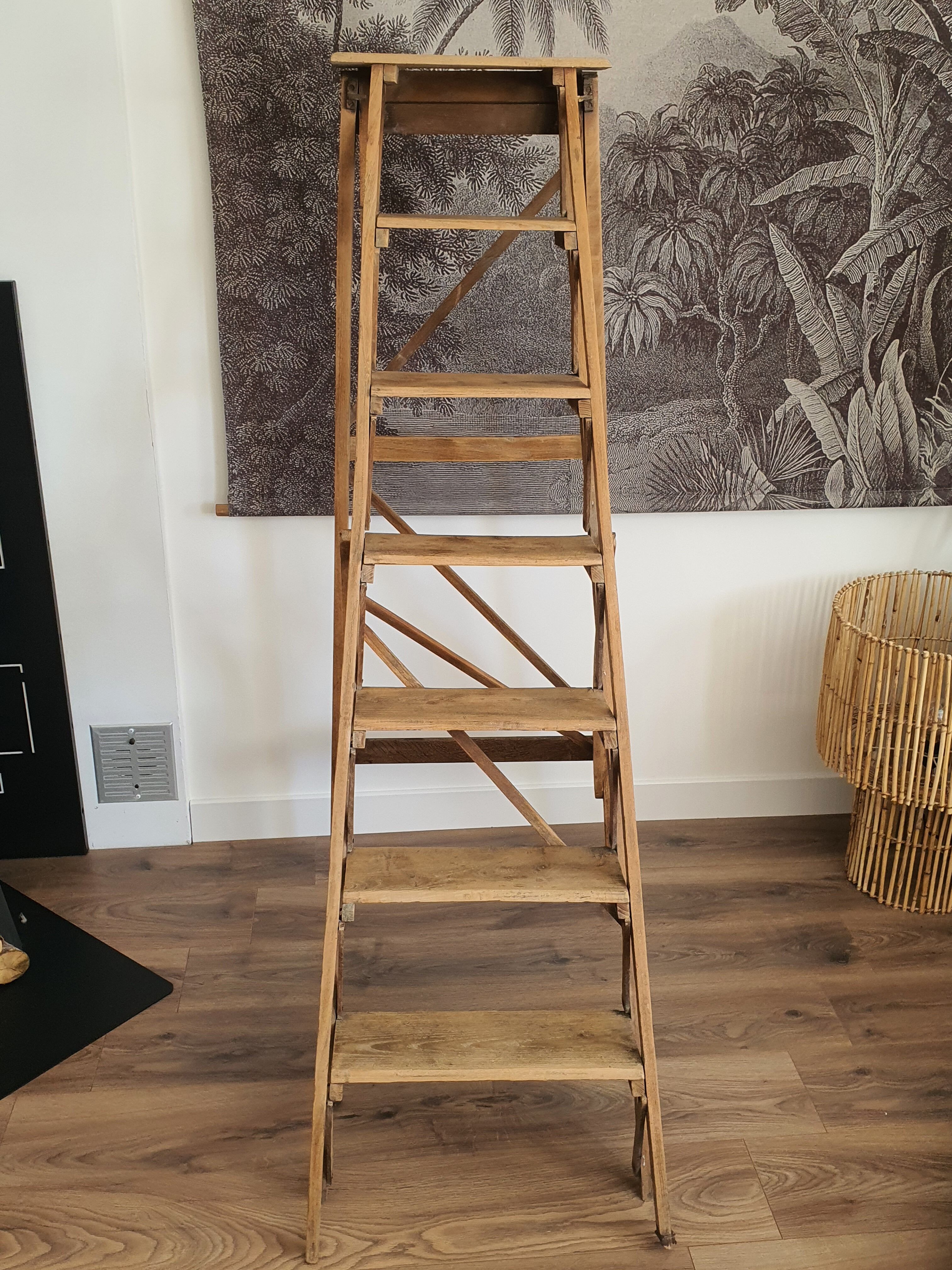 Old painter's stepladder