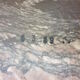 Midcentury Italian Marble Coffee Table 1989